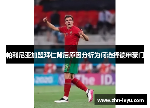 帕利尼亚加盟拜仁背后原因分析为何选择德甲豪门 帕利尼亚加盟拜仁背后原因分析为何选择德甲豪门